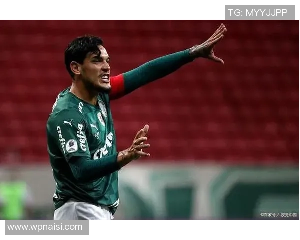 南美解放者杯波特诺山丘主场逼平巴西豪门表现可圈可点