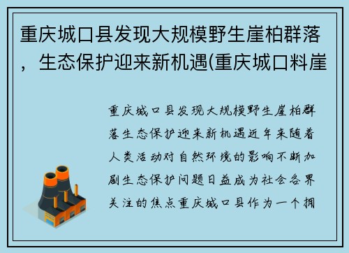 重庆城口县发现大规模野生崖柏群落，生态保护迎来新机遇(重庆城口料崖柏)